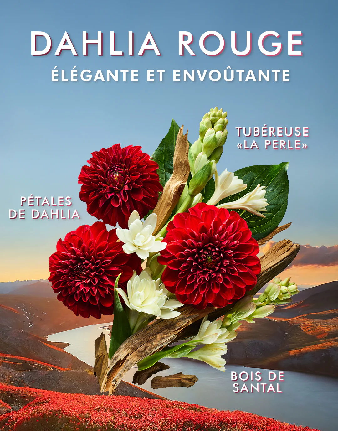 Hand Wash Dahlia Rouge - Image 5