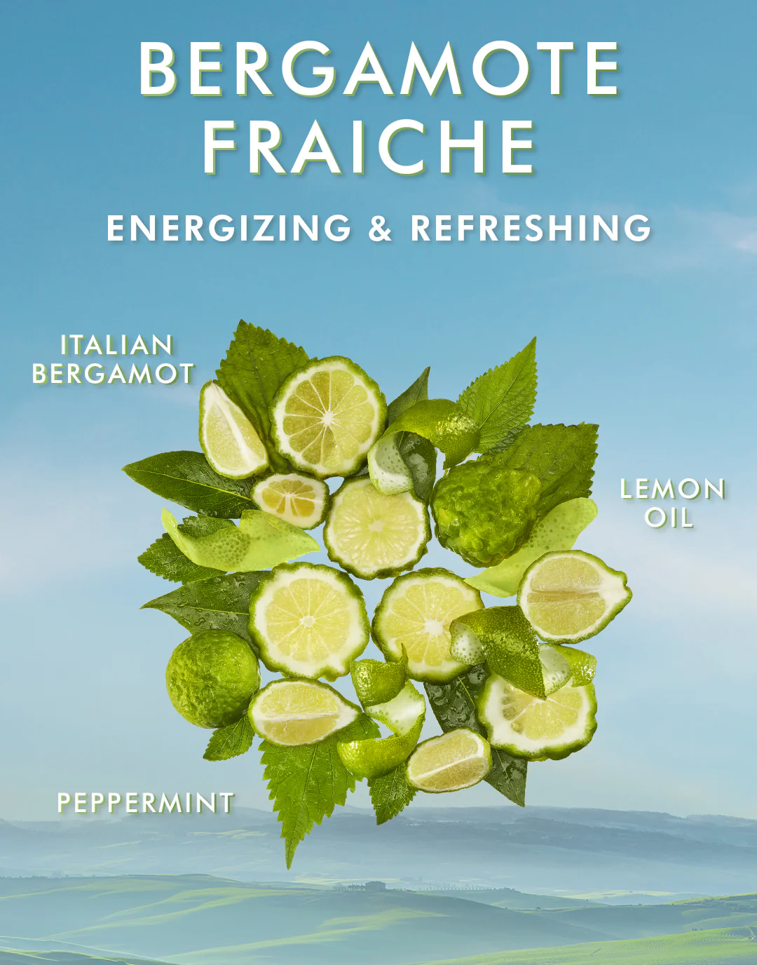 Body Lotion Bergamote Fraîche - Image 4