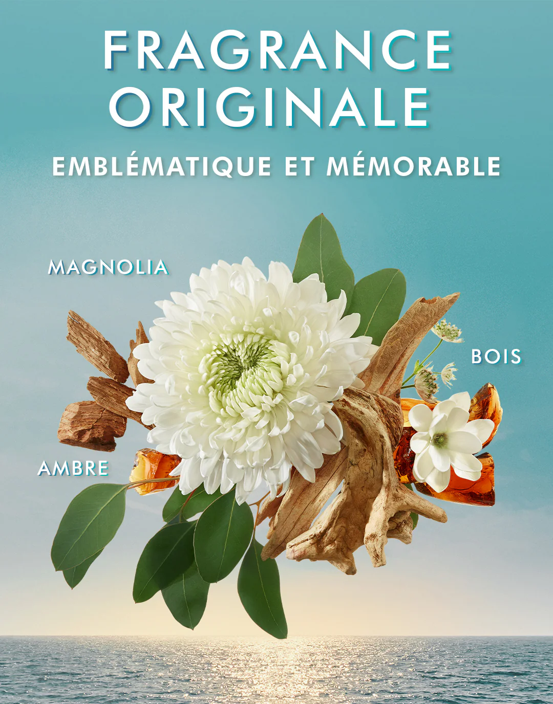 Body Lotion Fragrance Originale - Image 5